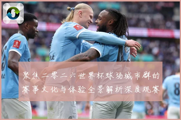 聚焦二零二六世界杯球场城市群的赛事文化与体验全景解析深度观赛事前瞻