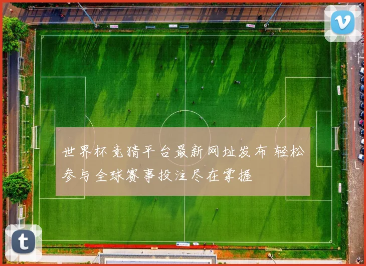 世界杯竞猜平台最新网址发布 轻松参与全球赛事投注尽在掌握
