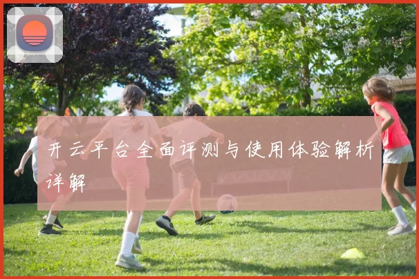 开云平台全面评测与使用体验解析详解