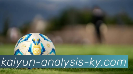 开云平台生态图